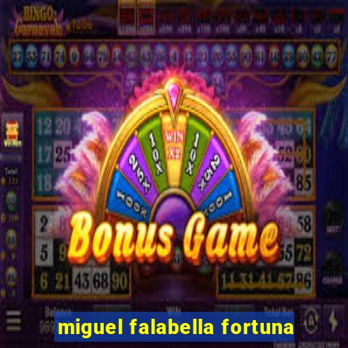 miguel falabella fortuna